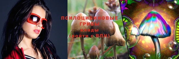 прущая мука Осинники