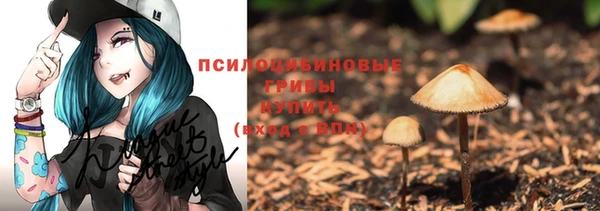 прущая мука Осинники