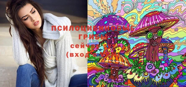 прущая мука Осинники