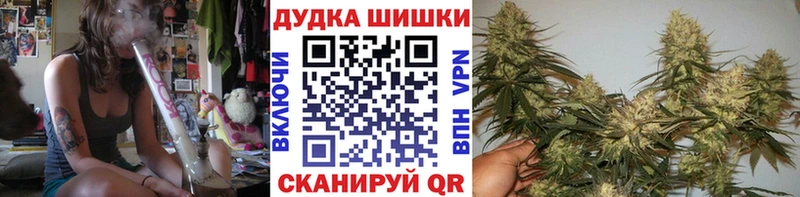 купить  сайты  Полярные Зори  Конопля планчик 